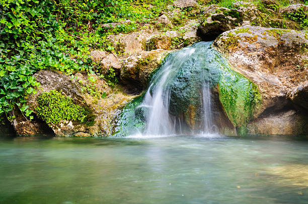 Parc national de la Pendjari